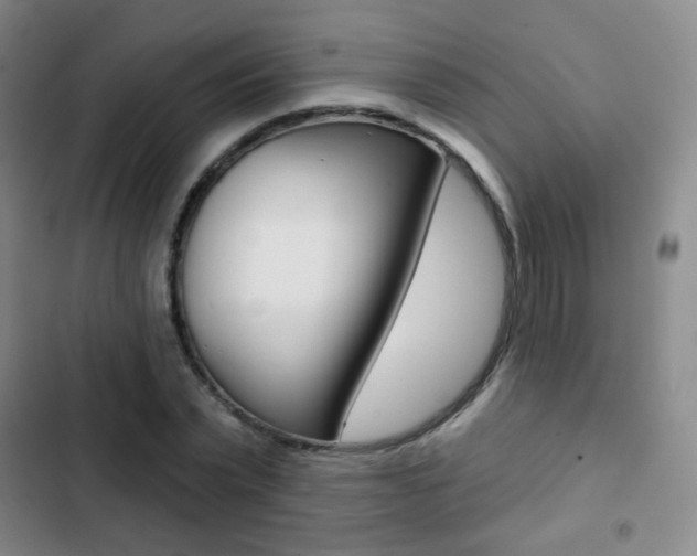 X0000103260783200808291041