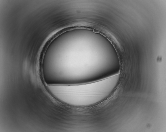 X0000103260784200808291041