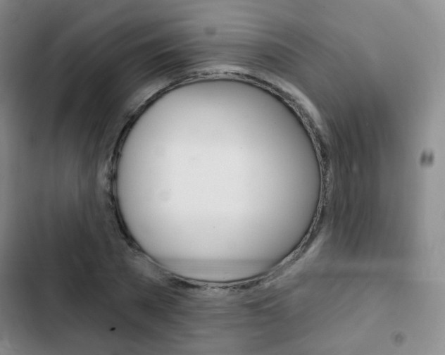 X0000103260785200808291041