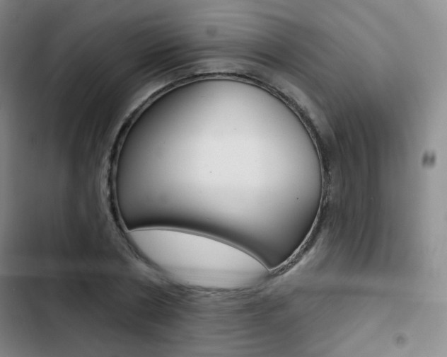 X0000103260786200808291041