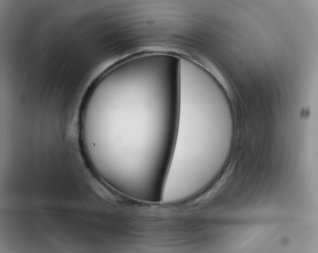 X0000103260787200808291041