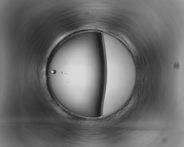 X0000103260788200808291041