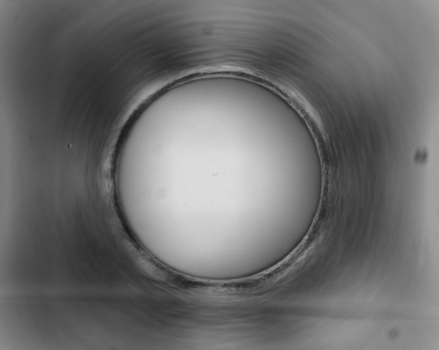 X0000103260789200808291041