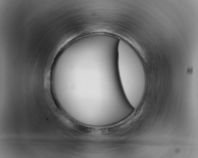 X0000103260790200808291041