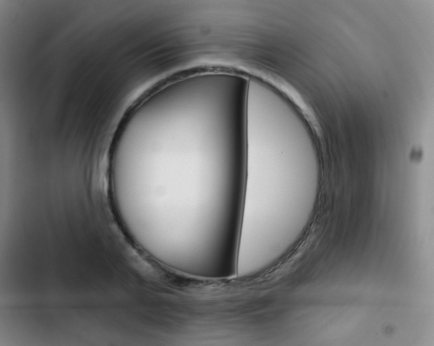 X0000103260791200808291041