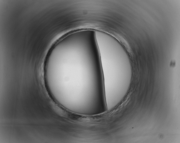 X0000103260792200808291041