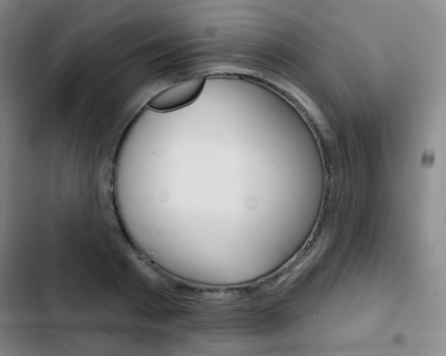 X0000103260793200808291041