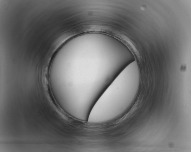 X0000103260794200808291041