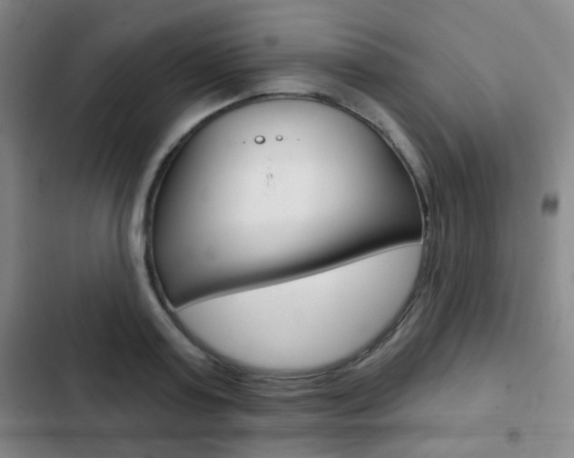 X0000103260795200808291041