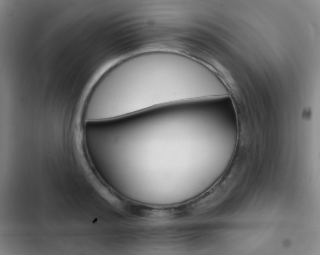 X0000103260796200808291041