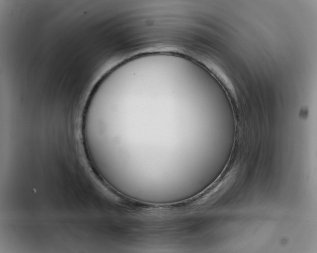 X0000103260797200808291041