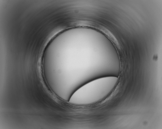 X0000103260798200808291041