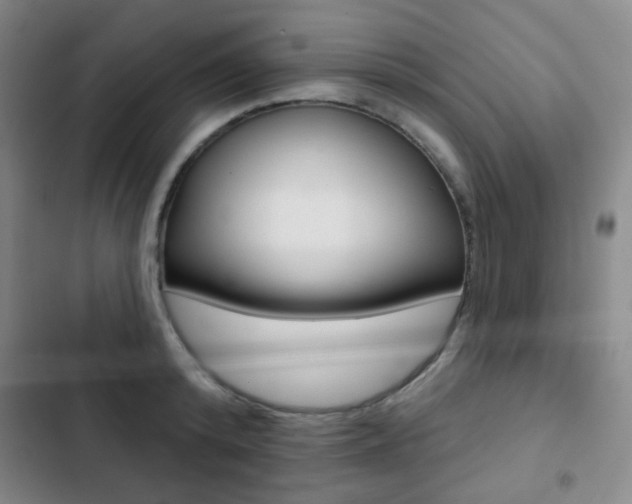 X0000103260800200808291041