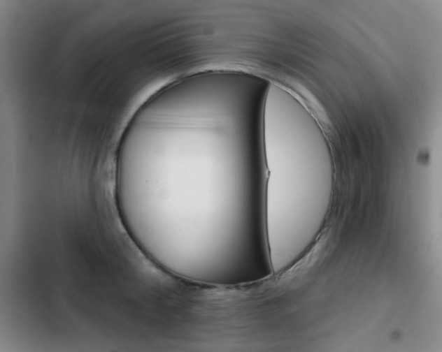 X0000103260804200808291041
