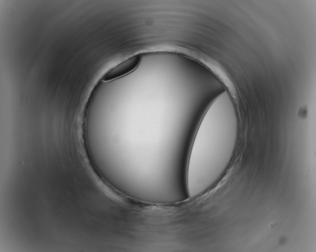X0000103260805200808291041