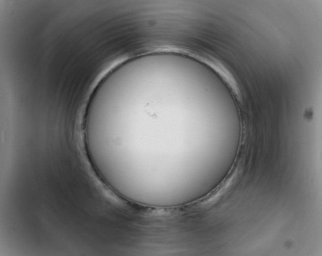 X0000103260806200808291041