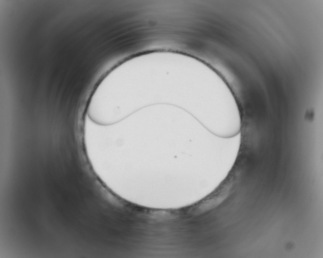 X0000103260807200808291041