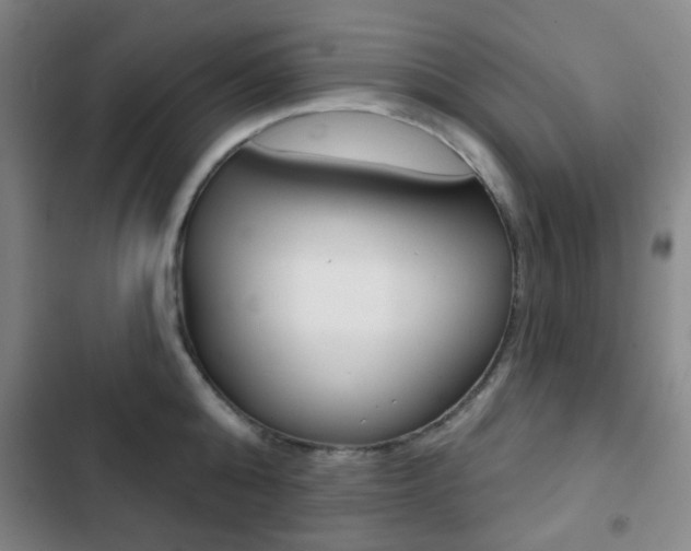 X0000103260808200808291041