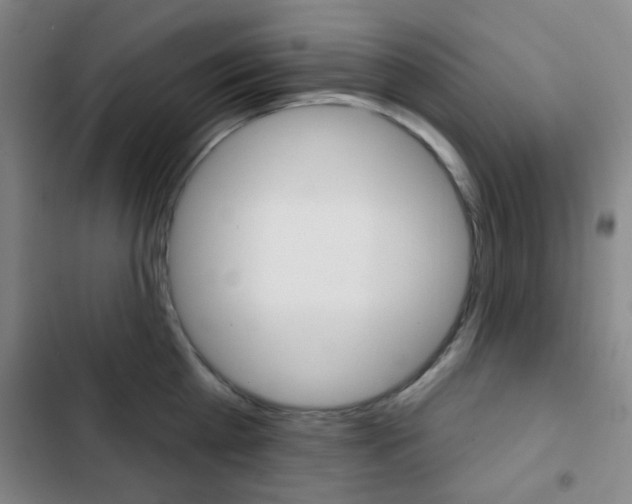 X0000103260809200808291041