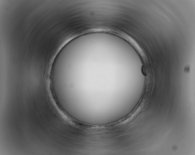X0000103260810200808291041