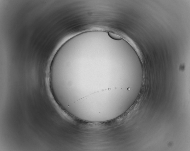 X0000103260811200808291041