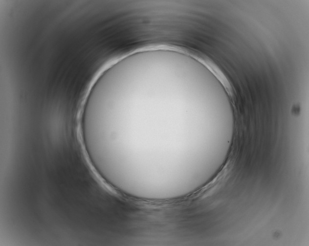 X0000103260813200808291041
