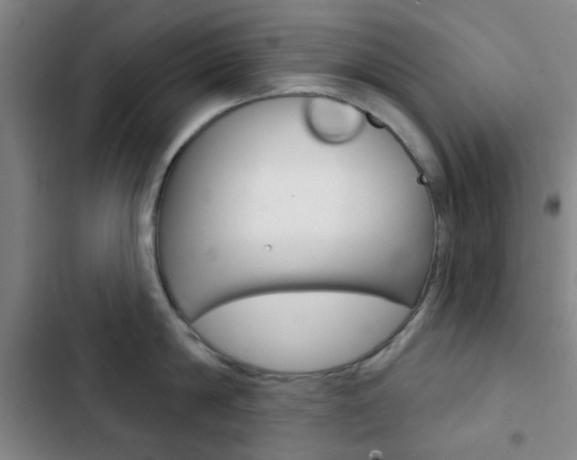 X0000103260814200808291041