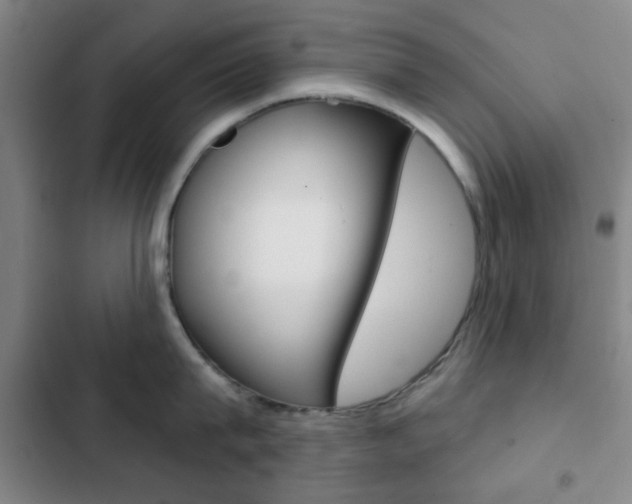 X0000103260815200808291041