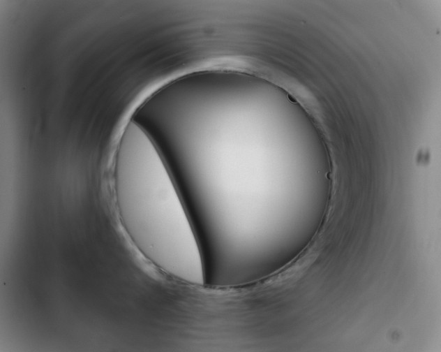X0000103260816200808291041