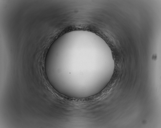 X0000103260817200808291040
