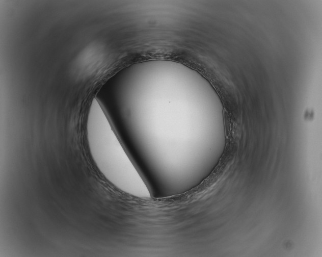 X0000103260818200808291040