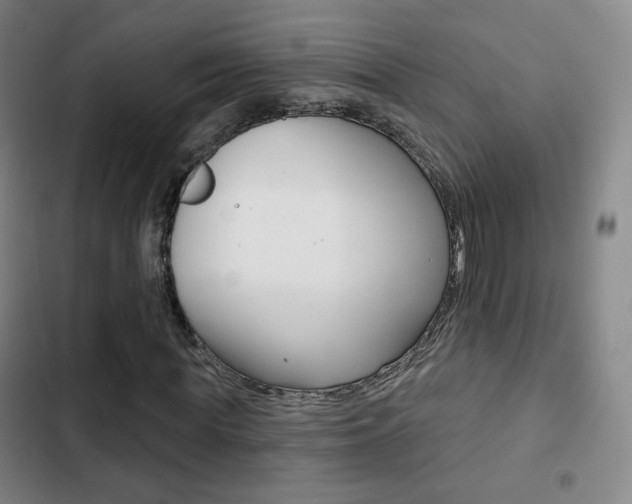 X0000103260819200808291040
