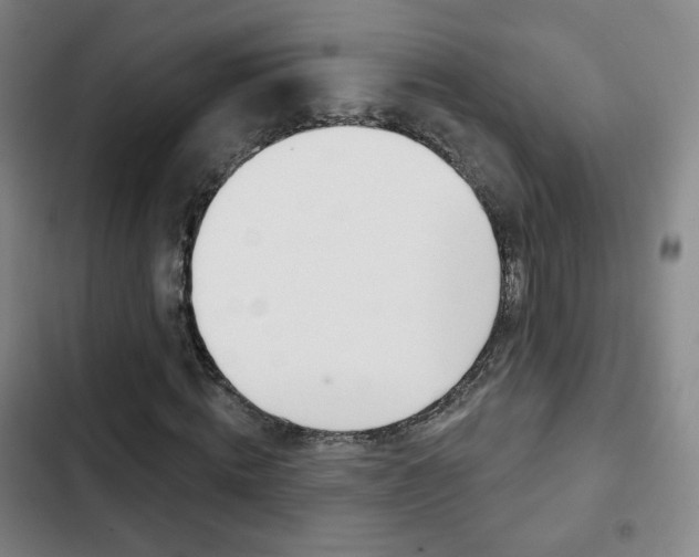 X0000103260820200808291040