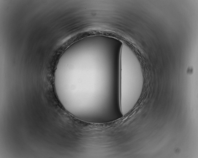 X0000103260822200808291040