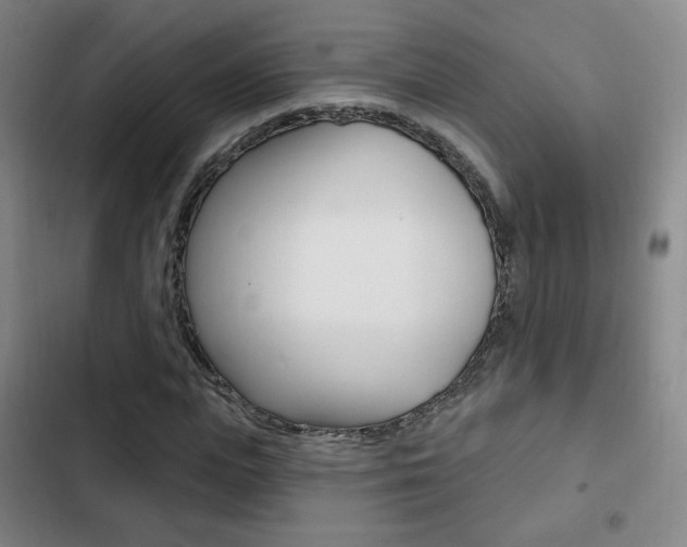 X0000103260823200808291040