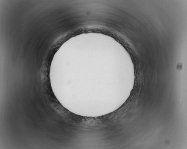X0000103260824200808291040