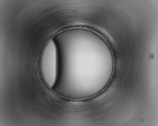 X0000103260825200808291040