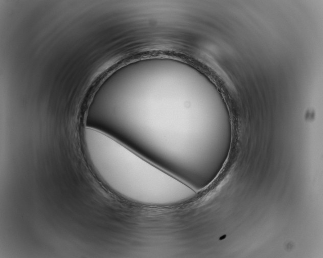 X0000103260826200808291040