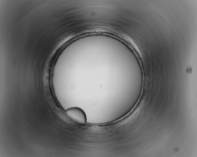 X0000103260827200808291040