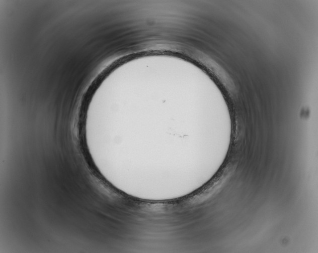 X0000103260828200808291040