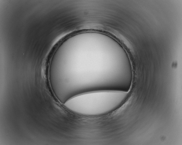 X0000103260830200808291040