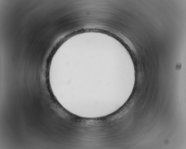 X0000103260832200808291040