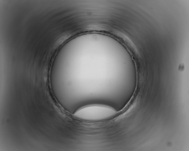 X0000103260833200808291040