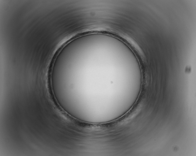 X0000103260834200808291040