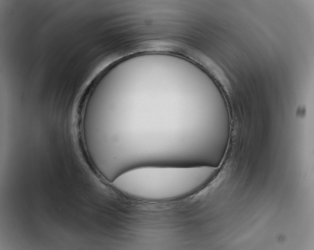 X0000103260835200808291040