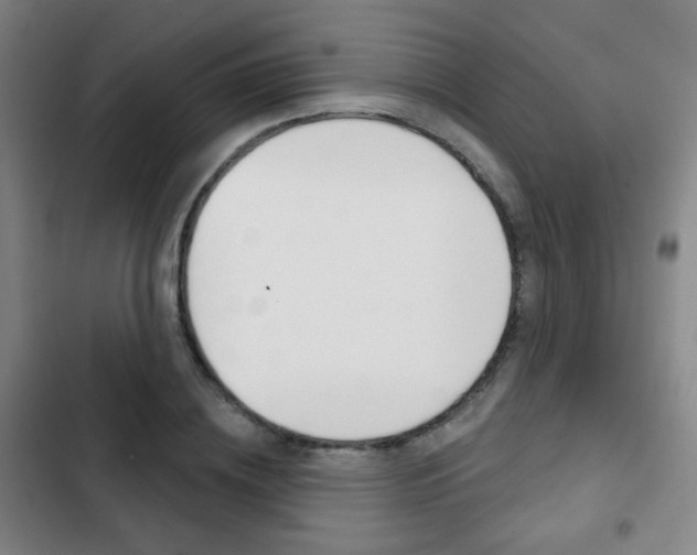 X0000103260836200808291040