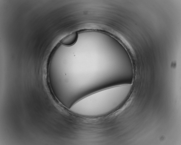 X0000103260837200808291040