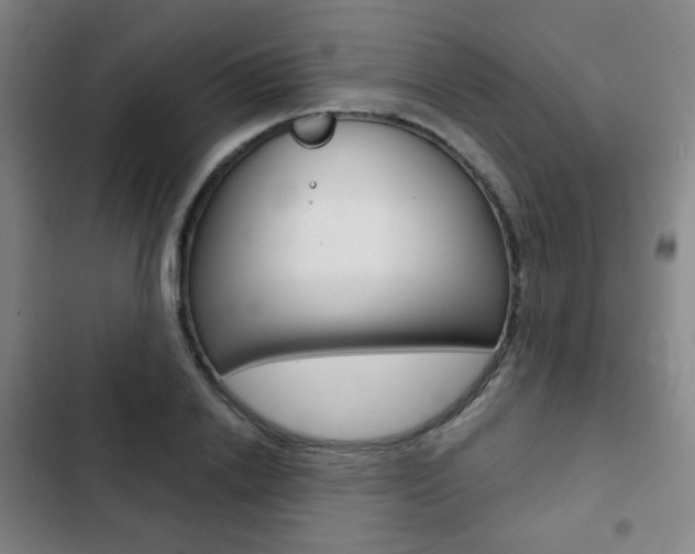 X0000103260838200808291040