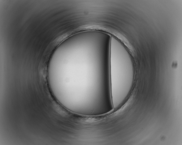 X0000103260841200808291041