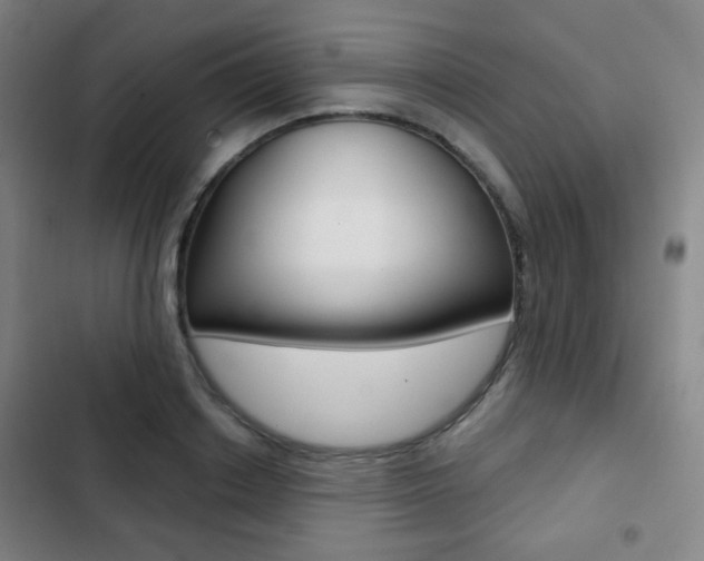 X0000103260842200808291041